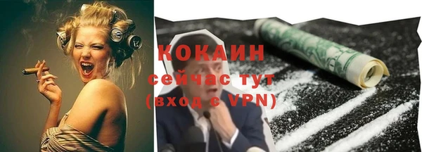 каннабис Корсаков