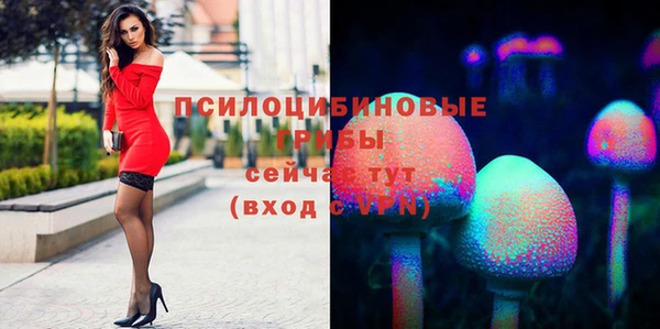 каннабис Корсаков