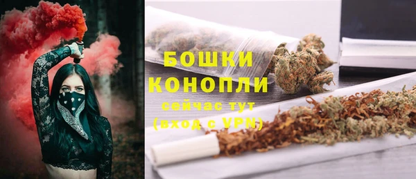 спайс Куртамыш